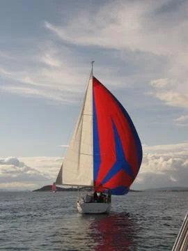 Sailing regatta. Stock Photos