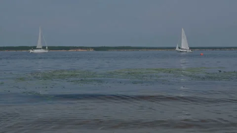 Sailing regatta on the Volga River Stockbeeldmateriaal 87971625