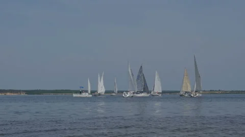 Sailing regatta on the Volga River Stock Footage 87973996