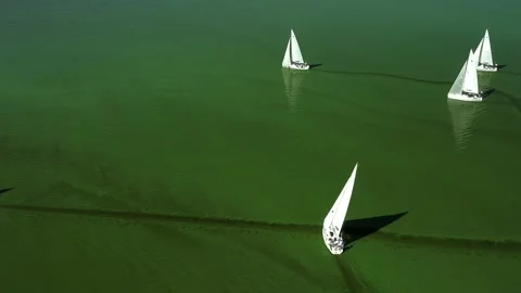 Sailing regatta on yachts Stock Footage 228867671