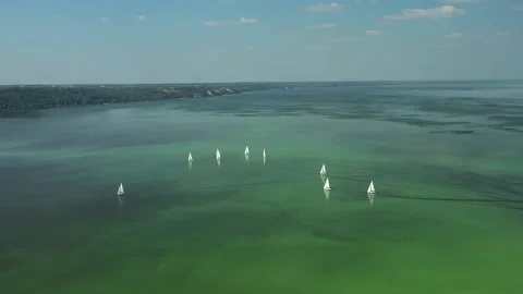 Sailing regatta on yachts Vidéo 228868273
