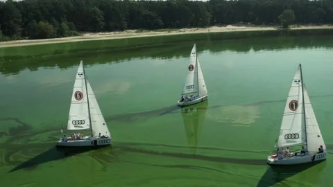 Sailing regatta on yachts Vídeo Stock 228868523