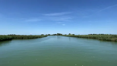 Sailing on the river Video stock 170536011