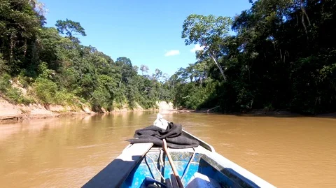 Sailing the River: Primary jungle forest in Peru Stock Footage 115098234