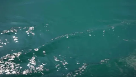 Sailing river. View from boat Stock Footage 79344597