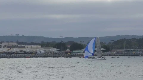 Sailing in San Diego Stock Footage 78503753