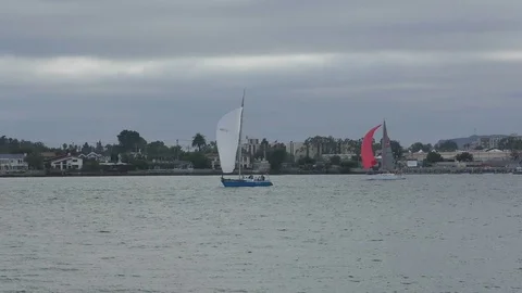 Sailing in San Diego Stock Footage 78734451