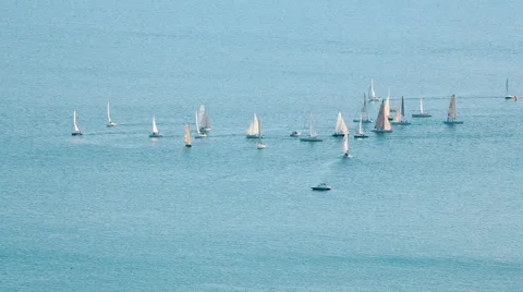 Sailing school on lake geneva Vidéo 44086341