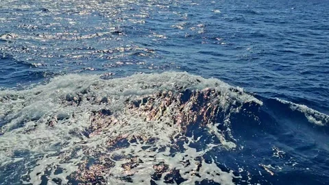 Sailing the Sea Vídeo Stock 345399707
