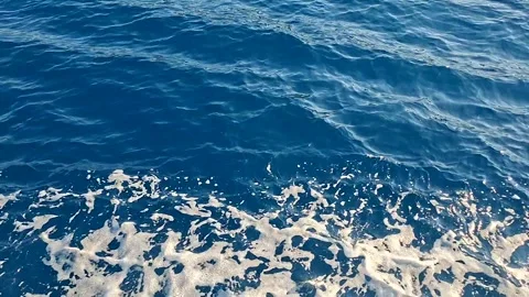 Sailing at Sea Time-Lapse Vídeos de archivo 347088004