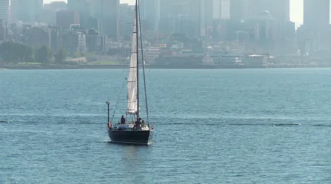 Sailing Seattle reveal Stock Footage 32022930