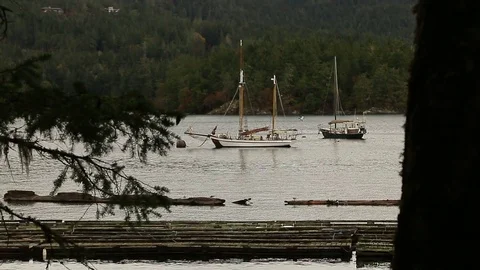 Sailing Ship in a bay Stock Footage 72166262