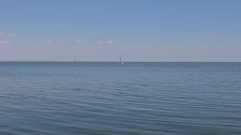 A sailing ship is in the calm waves of the ocean in calm weather Stock Footage 86446942