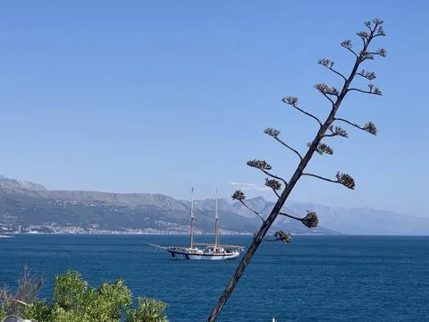 A sailing ship Stock Photos