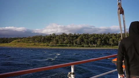 Sailing Ship Rail with Forest Coast in Beagle Channel Video stock 331940190
