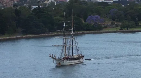 Sailing ship in Sydney Harbour Stock Footage 51797347