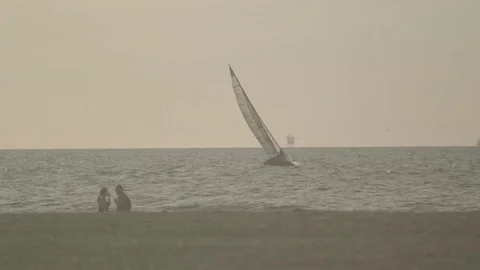 Sailing in the sunset Video stock 77875819