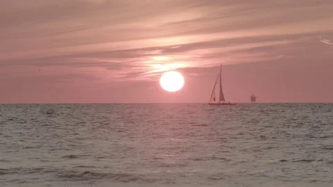 Sailing in sunset Video stock 77876481