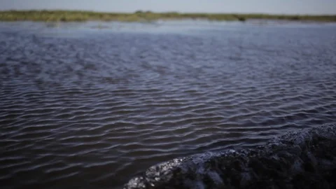 Sailing in the swamp on the estuaries. Stock Footage 101022795