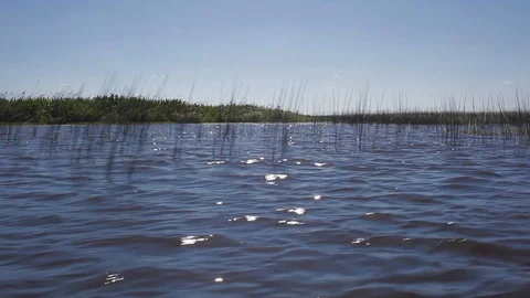 Sailing in the swamp on the estuaries. Stock Footage 101024403