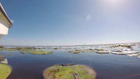 Sailing in the swamp on the estuaries. Stock Footage 101033874