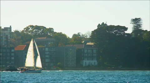 Sailing Sydney Harbour Stock Footage 25474564