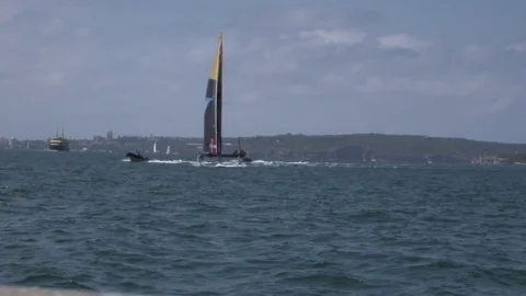 Sailing Sydney Harbour Video stock 76292290