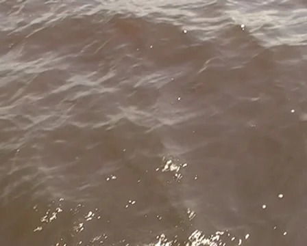 Sailing through the Amazon River Stock Footage 10571556