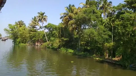 Sailing through back waters of Kerala, South India Stock Footage 155576204