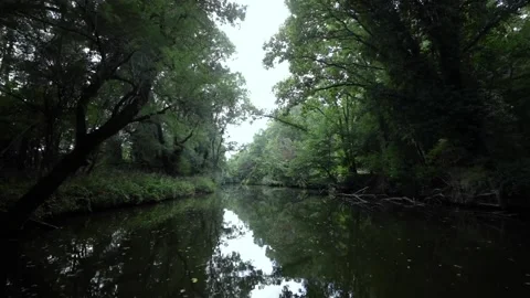Sailing through calm river Stock Footage 143965943