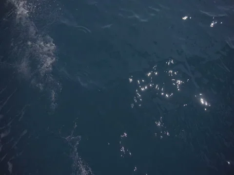 Sailing through the deep blue sea Stock Footage 80654923