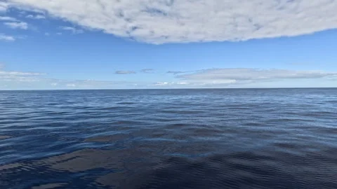 Sailing Through Deep Blue Waters in Hawaii on Nice Day Stock Footage 270402112