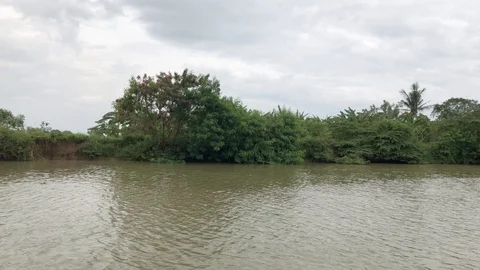 Sailing through rainforest by the riverbank on cloudy day Stock-Footage 105207877