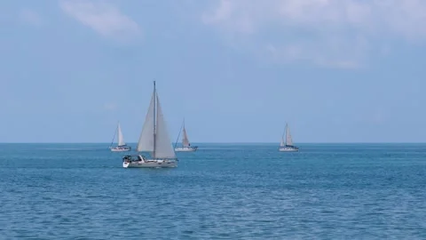 Sailing Yachts Stock Footage 330783076