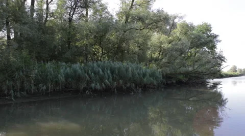 Sailing_in_wetland 스톡 동영상 49164740