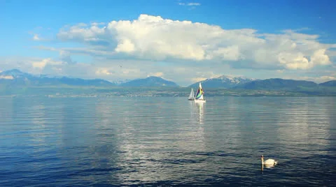 Sailling school on lac leman Video stock 23855269
