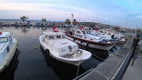 Sailor feeding a seagull Stock Footage 201145195