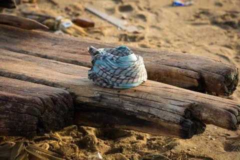 Sailors cap Stock Photos