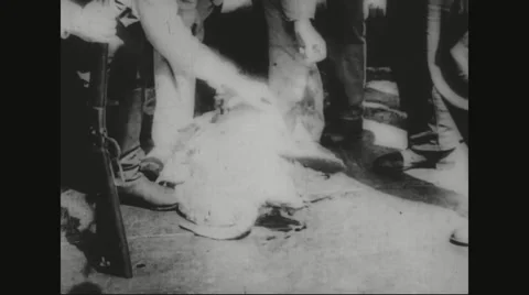Sailors examining dead turtle Stock Footage 43316271