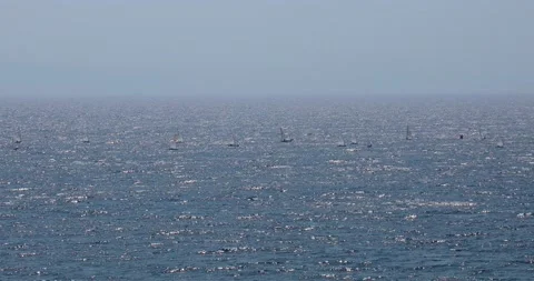 The sails are training on the sea Stock Footage 142559529