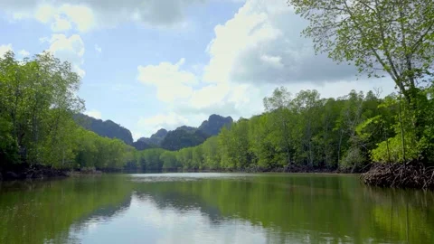 Sails on a boat along the river among mangroves. Stock Footage 139874477