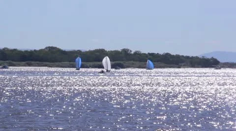 Sails On Dazzling Water Stock Footage 10838553