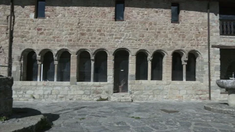 Saint Albert from Butrio Stock Footage 239780279