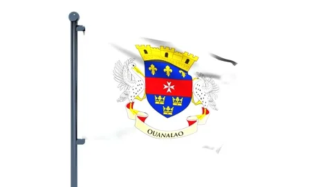 Saint Barthelemy Flag Video stock 150195625