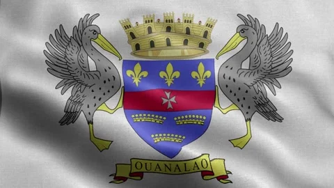 Saint Barthelemy flag Front Stock Footage 318668887
