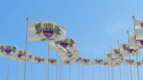 Saint Barthelemy Row Of Flags Animation Stock-Footage 148787200