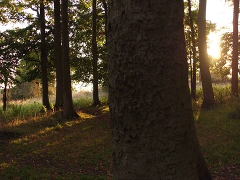 Saint Catherines Hill Stock Footage