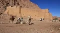 Saint Catherine's Monastery. Sinai Peninsula. Egypt. Full HD HD Footage