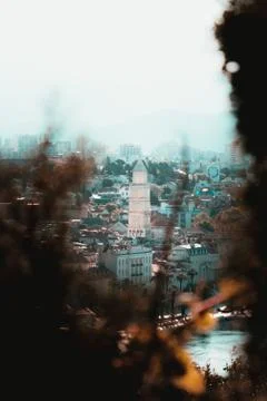Saint dominus cathedral in Split framed between tree branches, seen above fro Stock Photos