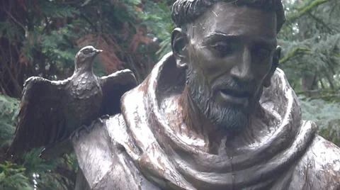 Saint Francis Stock Footage 35716219